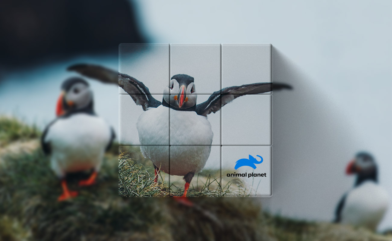 Blox - Brändätyt Maaginen Kuutio gallery thumbnail