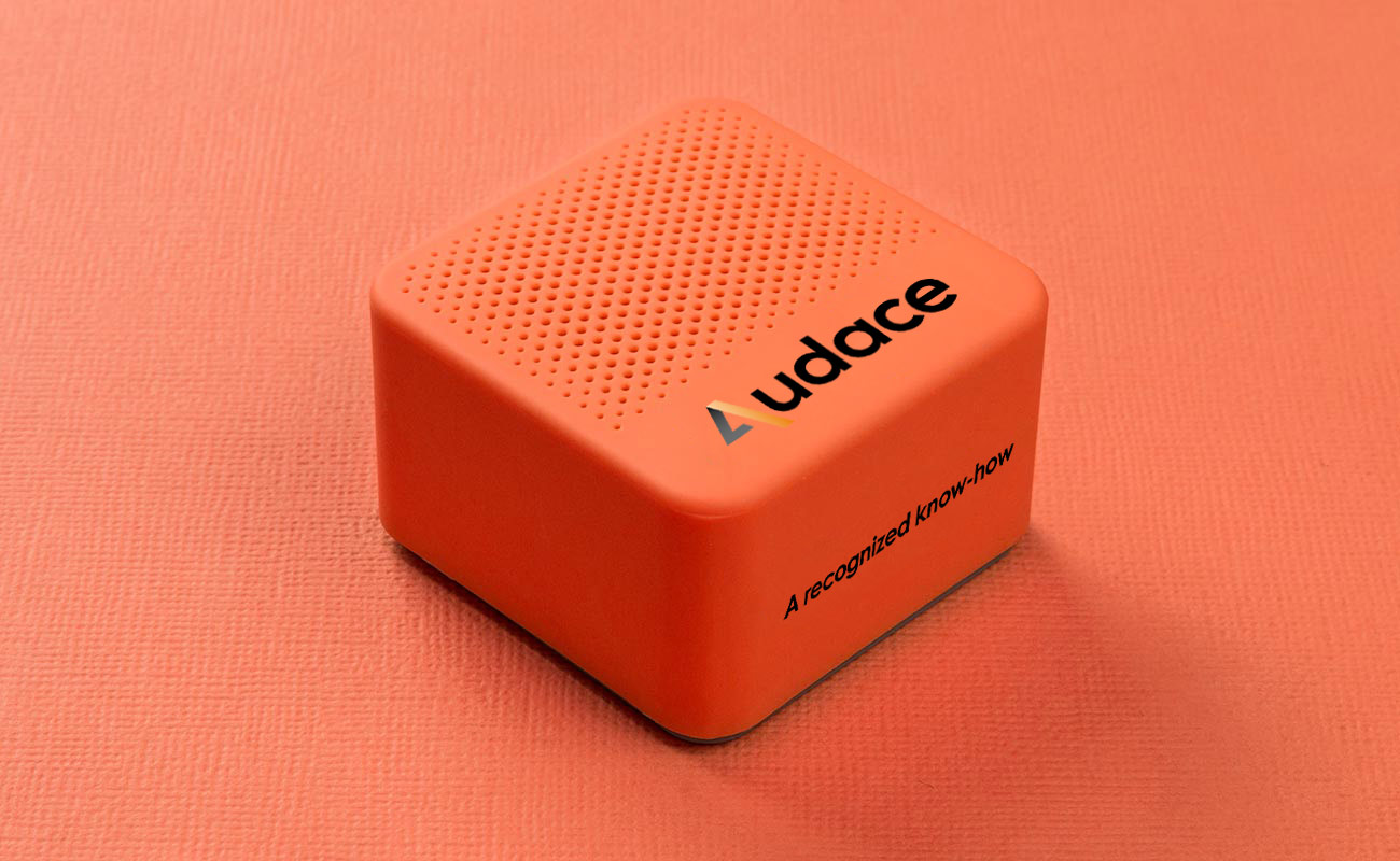 Ray - Kaiutin Omalla Logolla gallery thumbnail